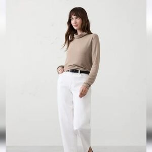 Banana Republic Luxe Turtleneck Sweater